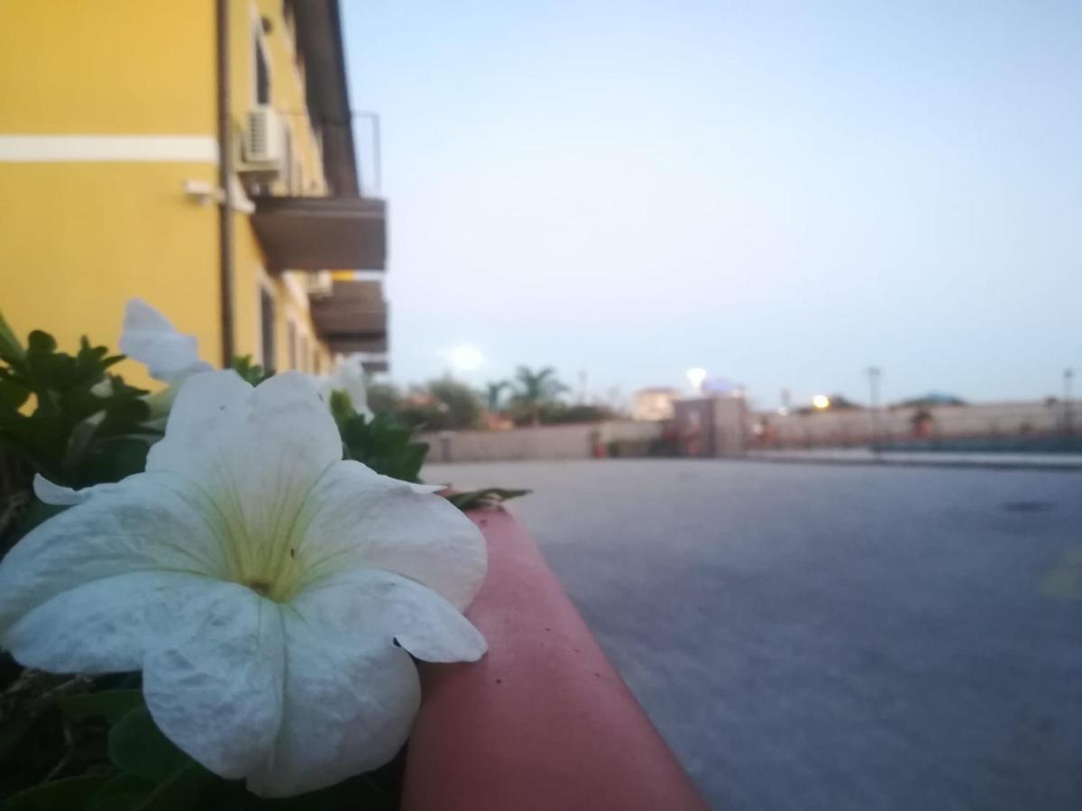 Bed and Breakfast I Colori Dell'Etna San Giovanni La Punta Exterior foto